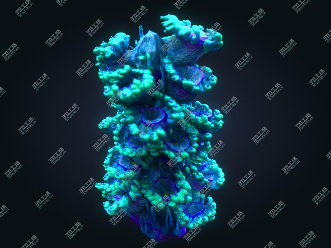 images/goods_img/2021040163/3D Animated Plants Ocean - Alien  Pack 10/5.jpg